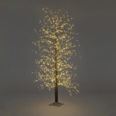 5029936916617 1 6 8ft Black Micro Dot Tree.jpg